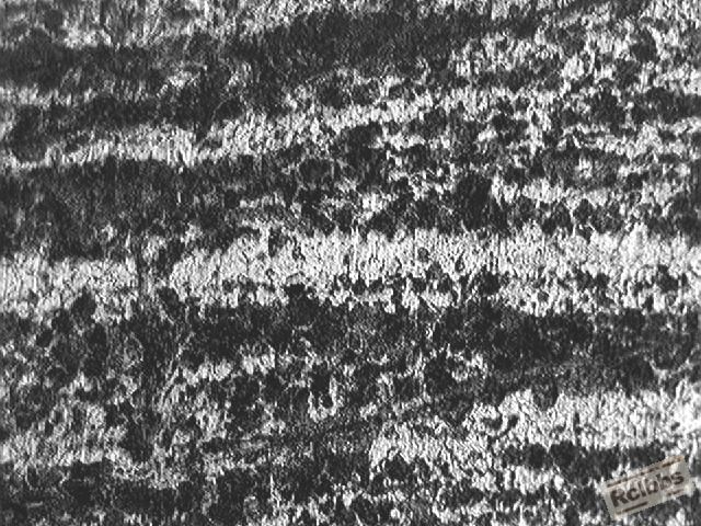 09090.JPG