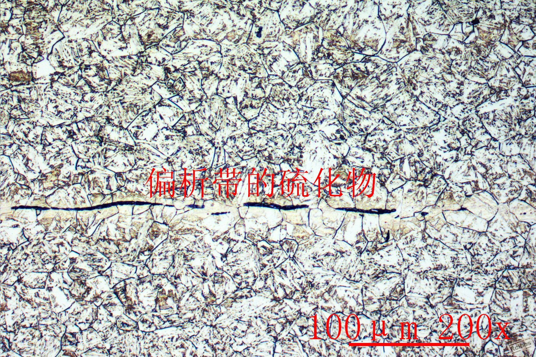 1cr15ni4mo3n -11.JPG
