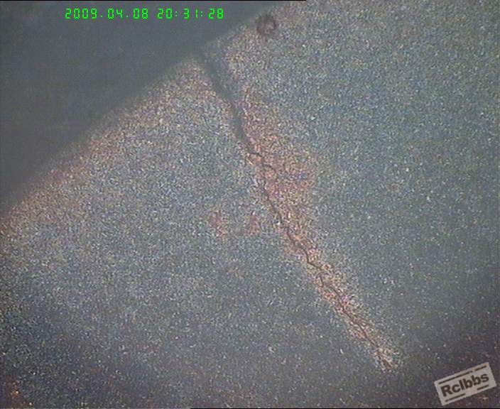 SCM415.100X.jpg