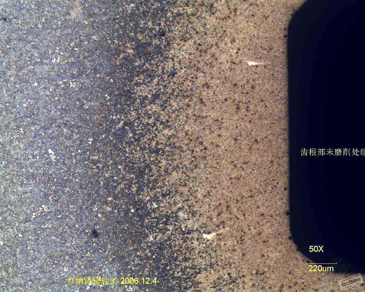 未磨削的齿根处组织50X
