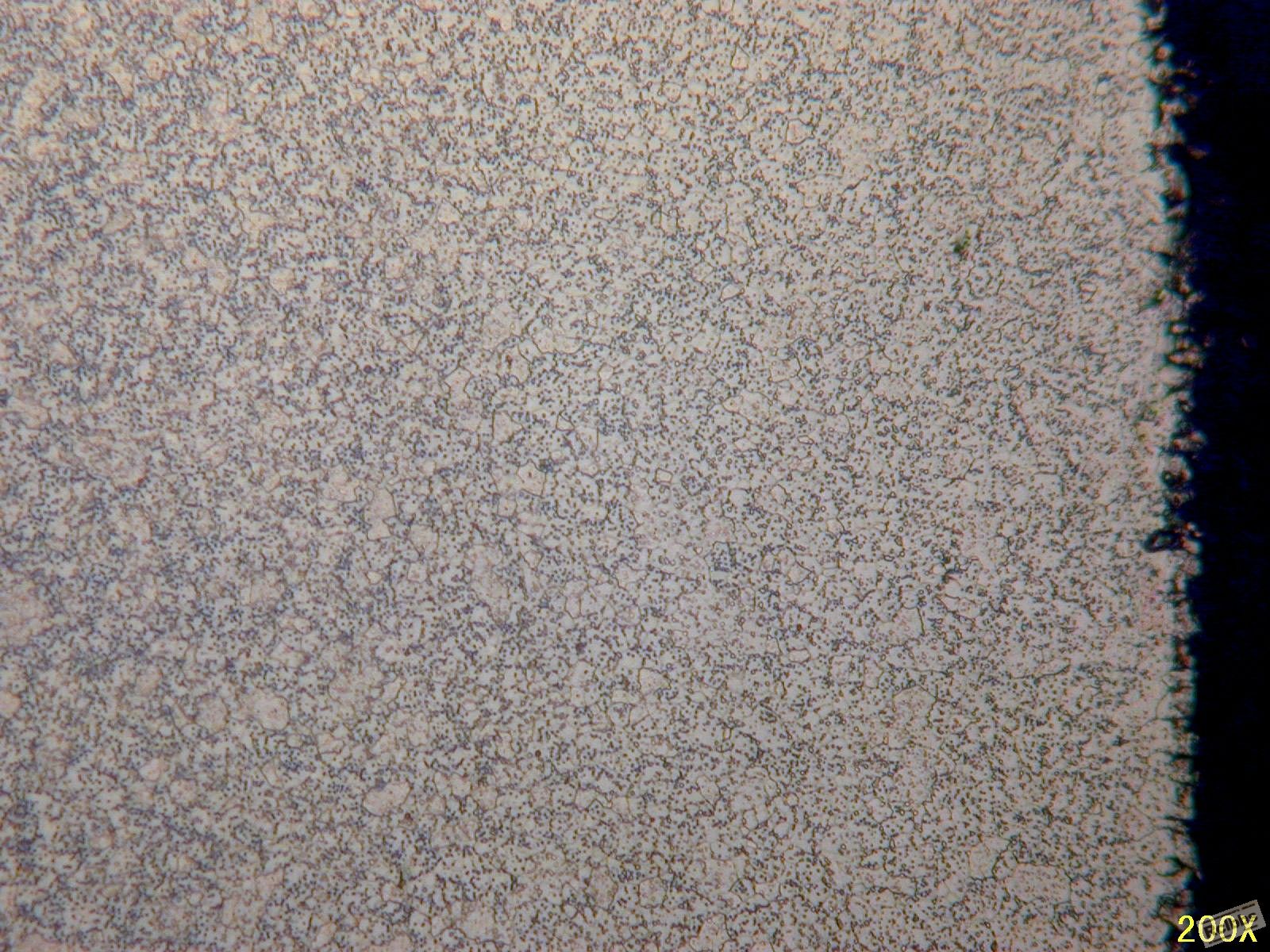 pp 033.jpg