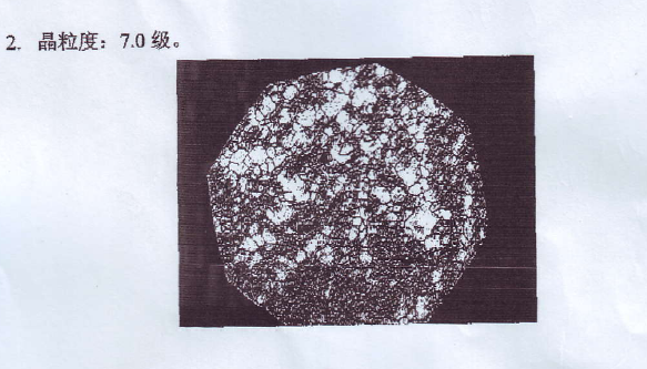 组织2.jpg