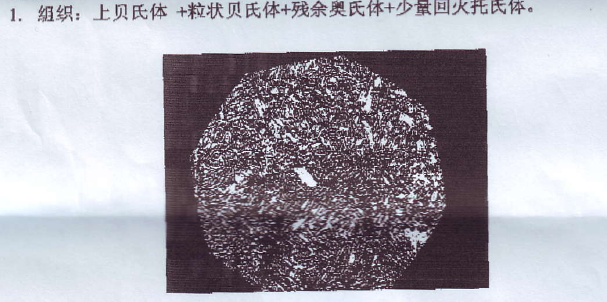 组织.jpg