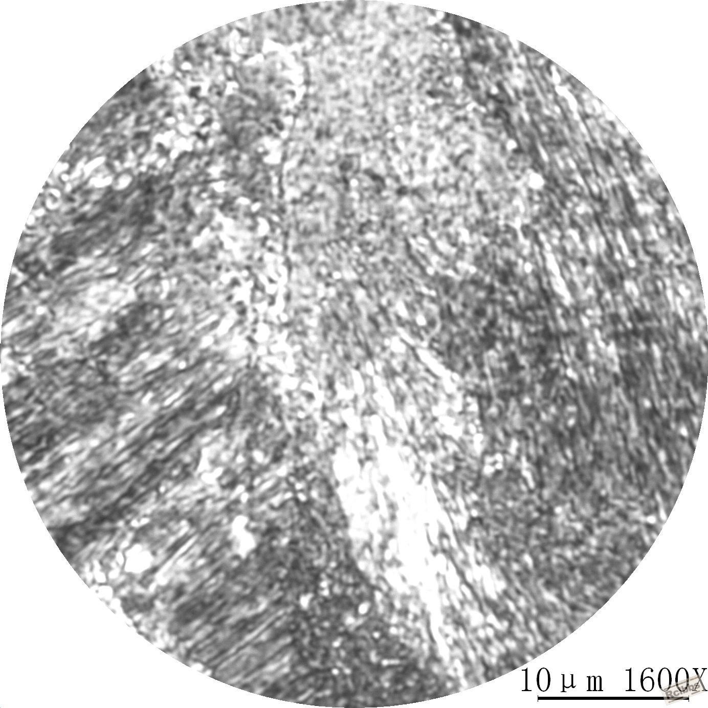 40Cr-14.JPG