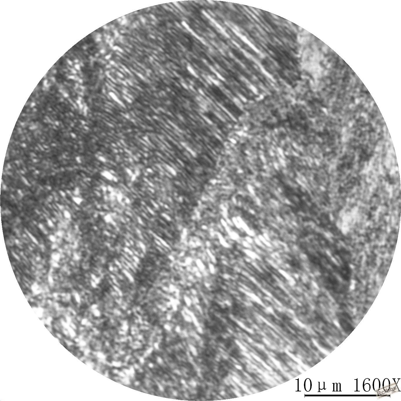 40Cr-11.JPG