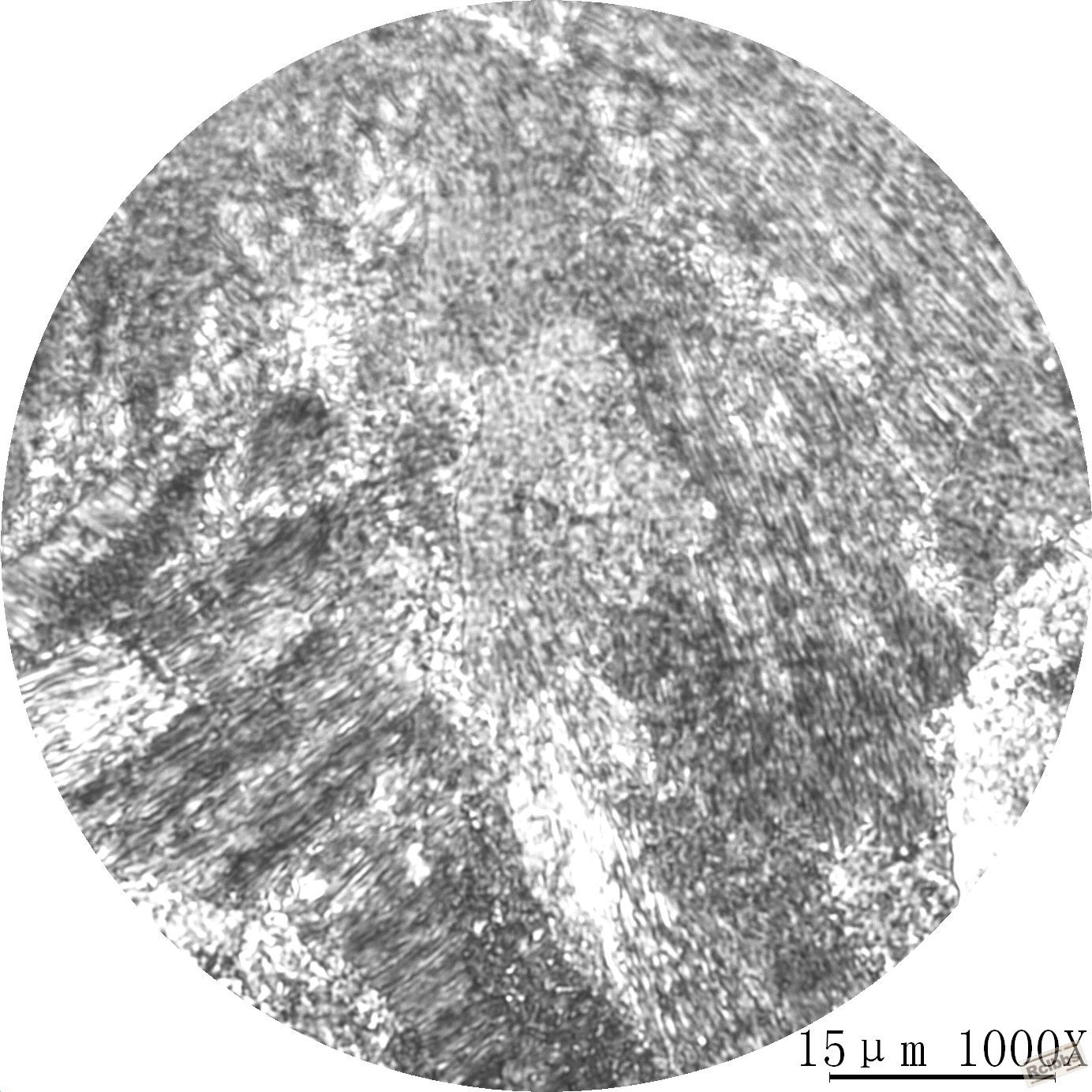 40Cr-15.JPG