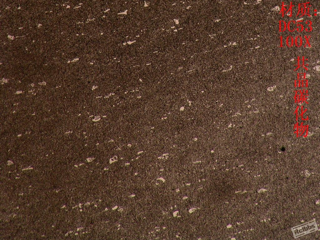 DC53.JPG
