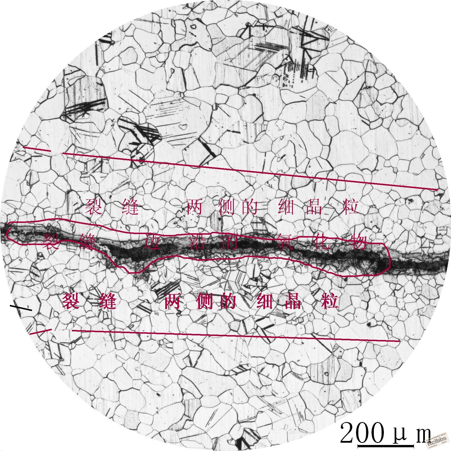 dt-13-1.jpg