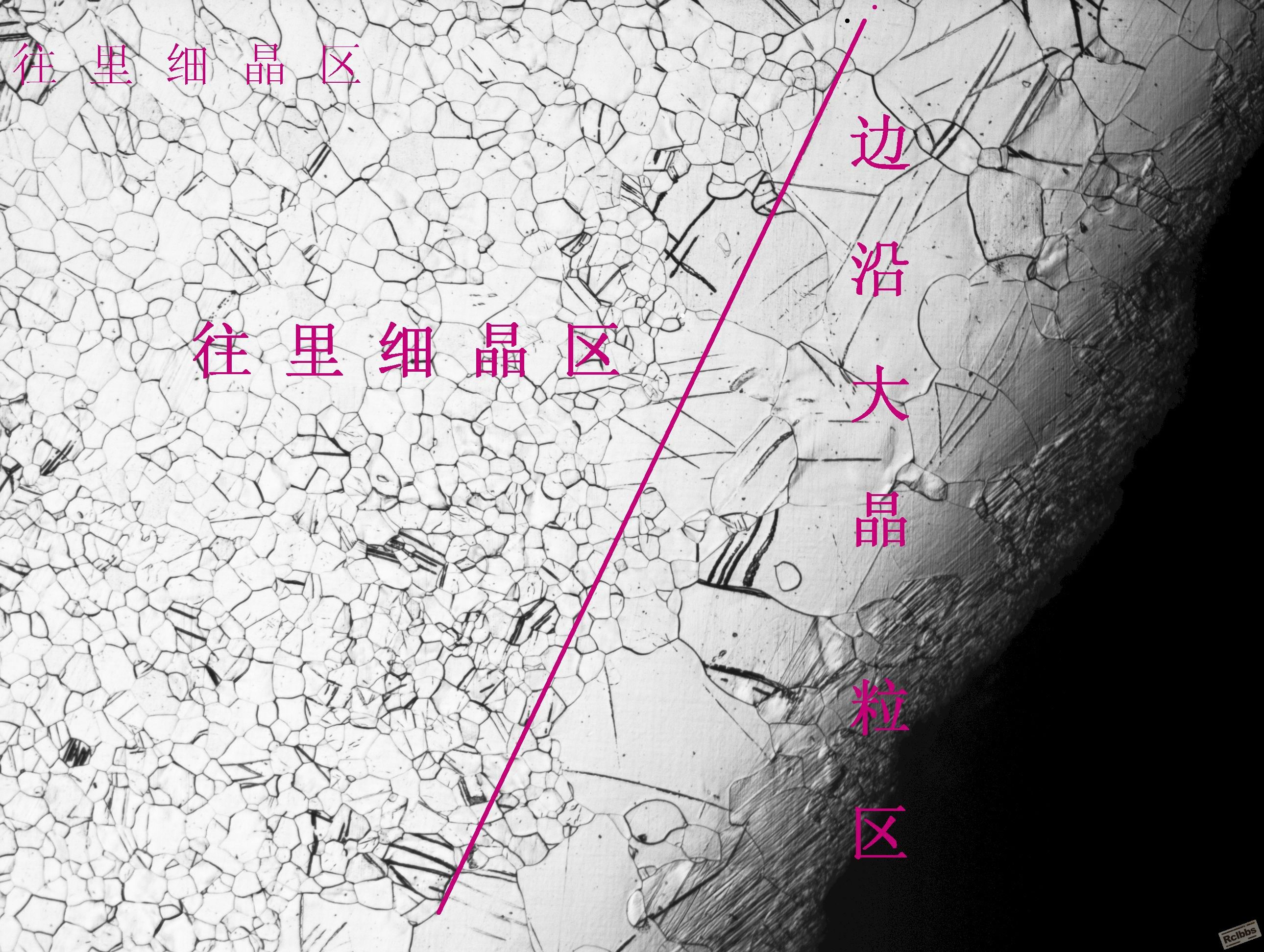 边沿的粗大铁素体是怎么形成的？？