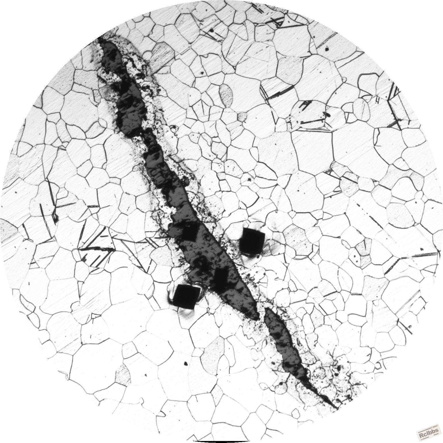 dt-8.JPG
