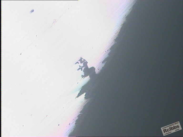 81D5连(0247)100x.JPG