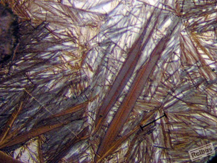 zP4238511.jpg