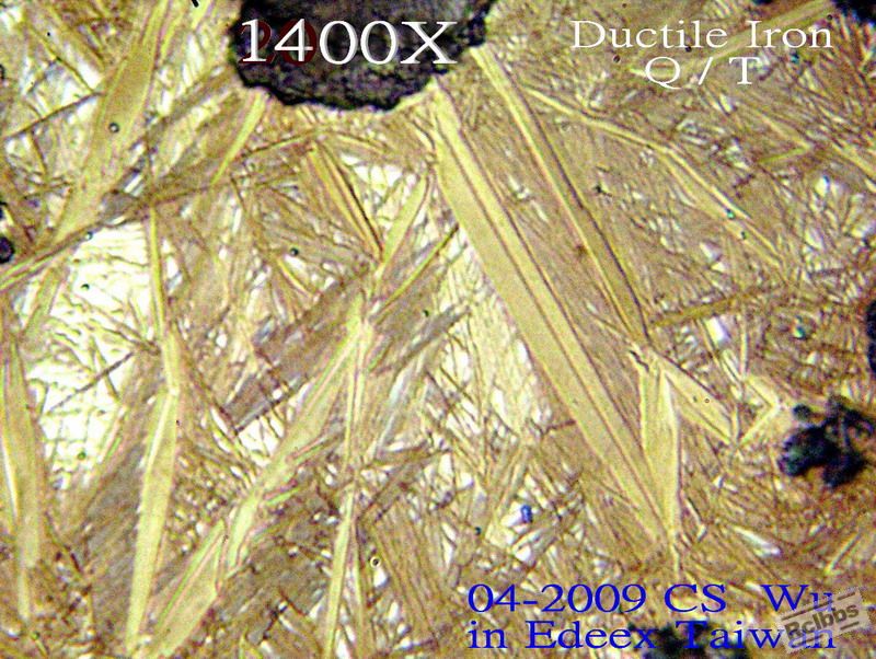 xP4238519.jpg