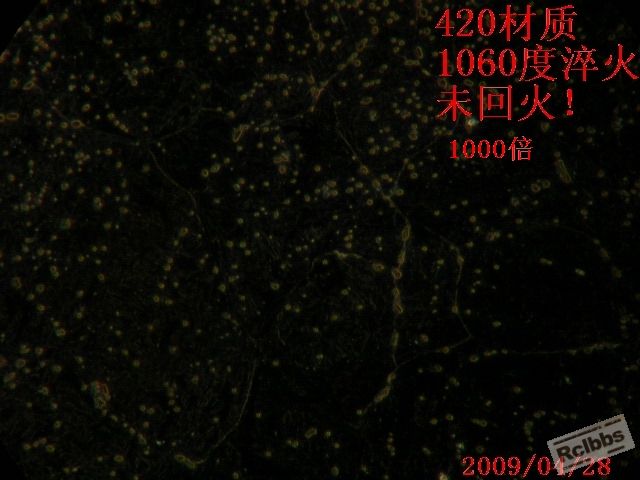 DSCN1088.JPG