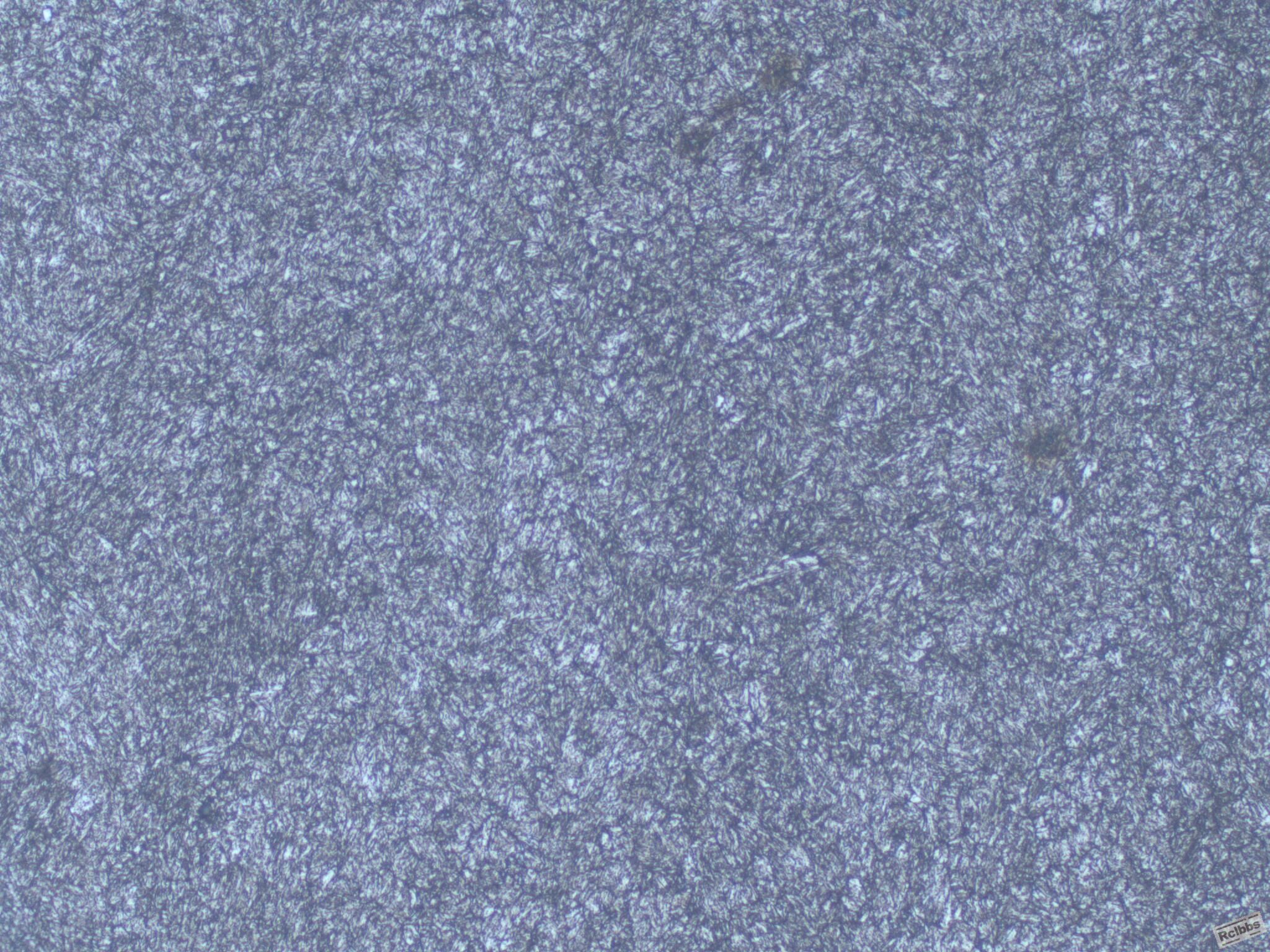 200X-1.jpg
