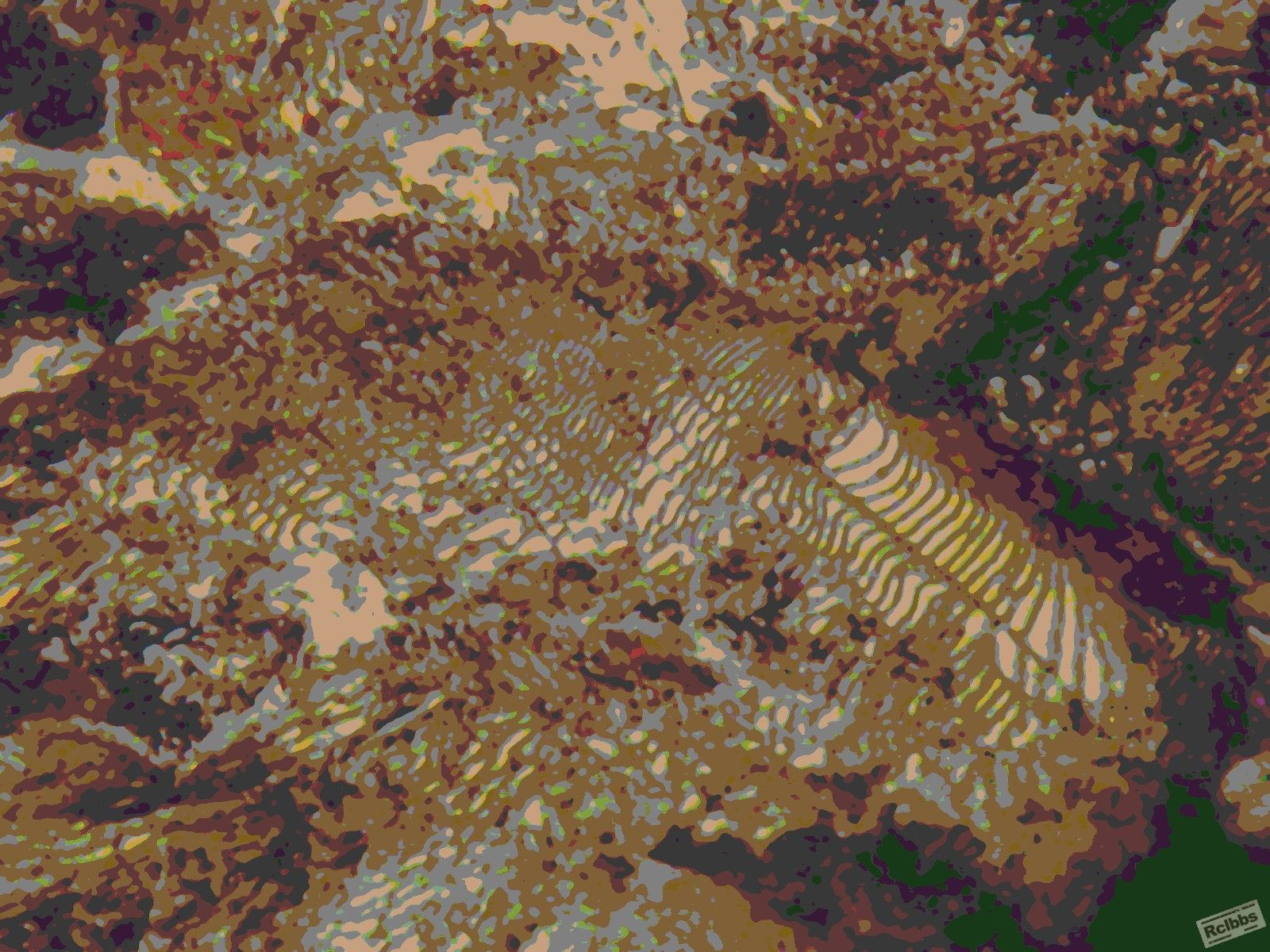 0306 003.JPG