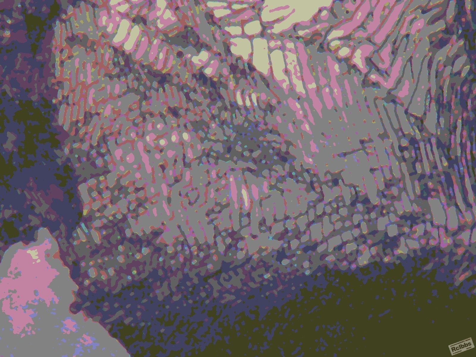 0306 006.JPG