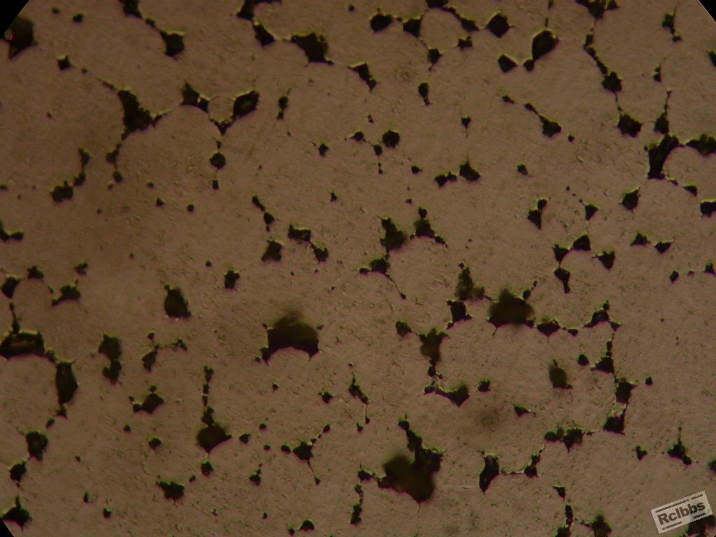 FeCl3腐蚀－500X.JPG
