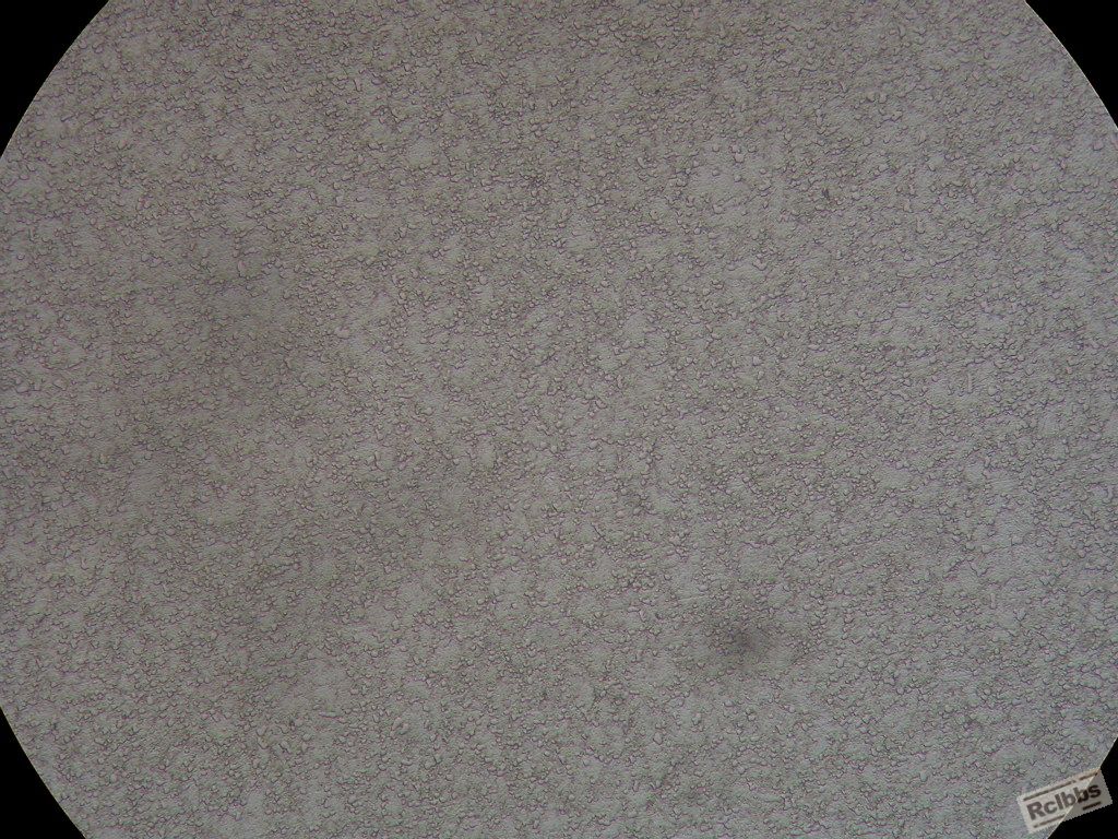 DSCN1344.JPG