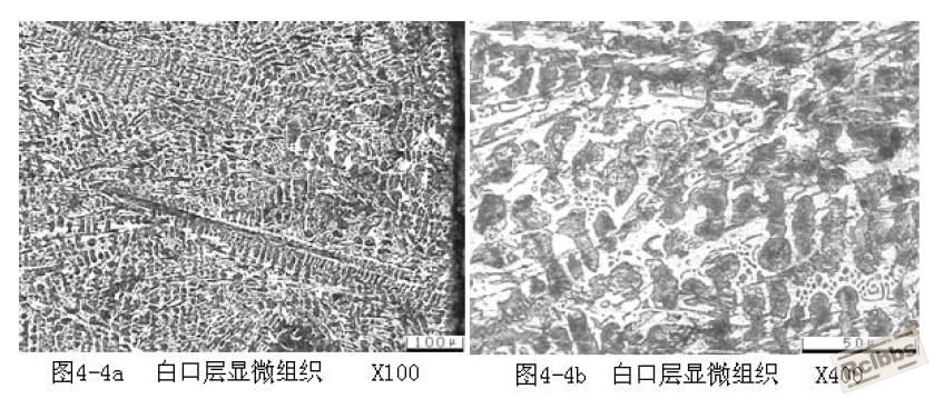 QQ截图未命名.jpg