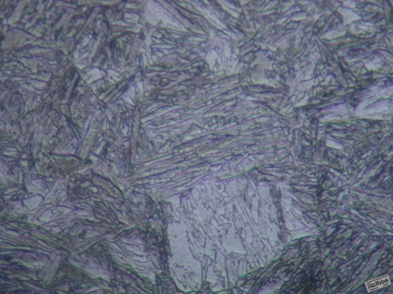 DSCN1650.JPG