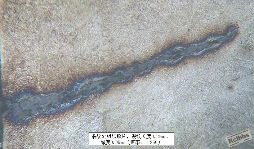组织.jpg
