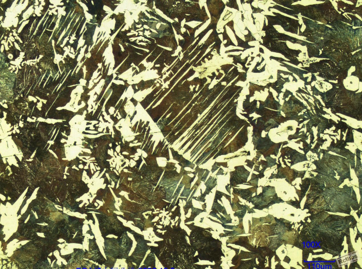 铸钢正火组织－100X.JPG