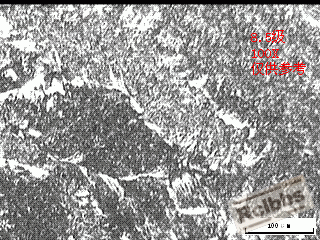4.GIF