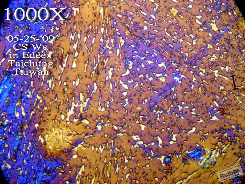 P5259944z.jpg