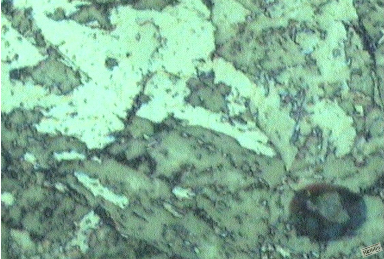 NAK80-400X.jpg