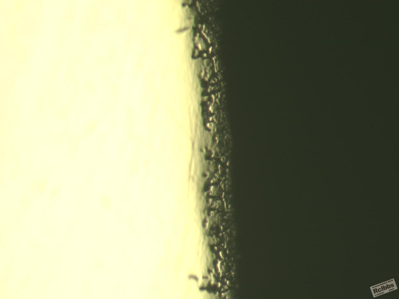 Capture97.Jpg