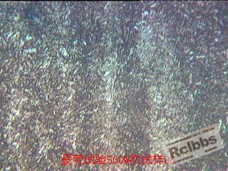 疲劳试验500W次试样500X.jpg