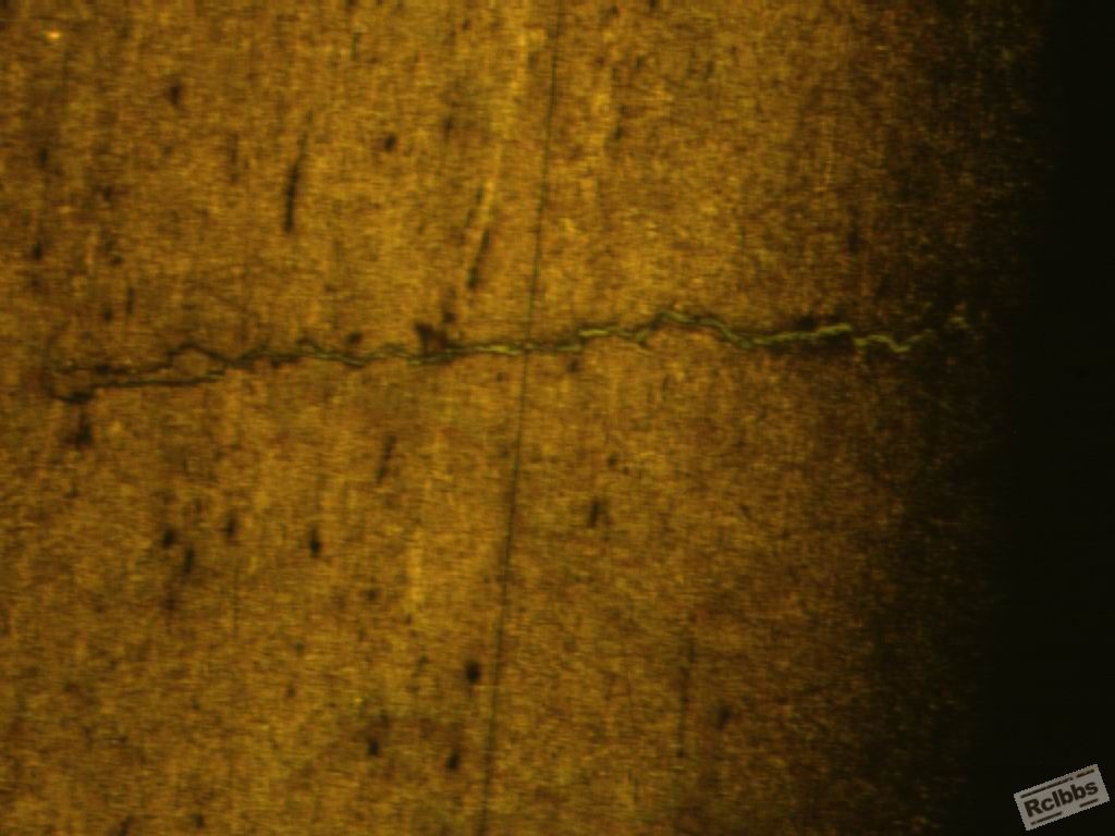 385-02009.5.jpg