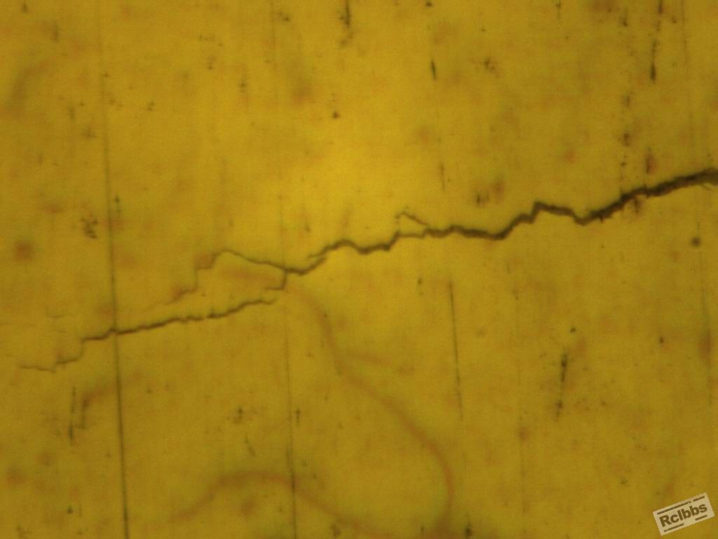 385-02009.1.jpg