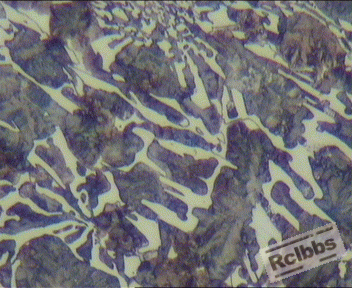 铸态组织