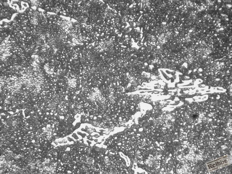 Cr12-100X-1.jpg