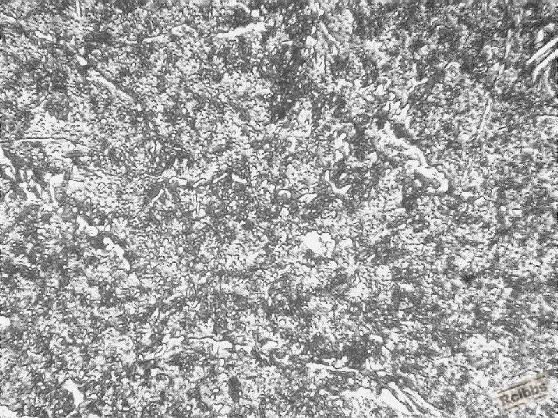 Cr12-500X.jpg