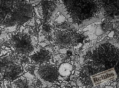 400X-2.JPG