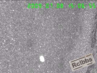 100X表层补C区约0.40MM，局部有一白色块状物.jpg