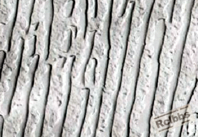 电镜下的珠光体.gif