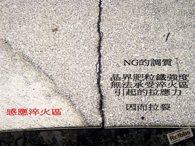 P1015020.jpg
