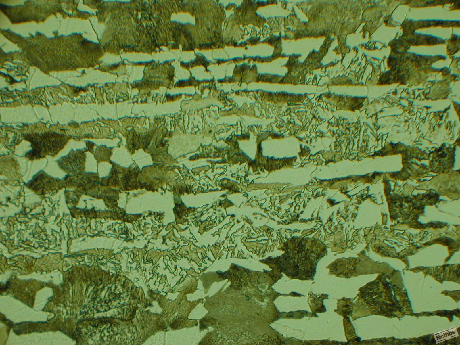 DSCN0133.jpg
