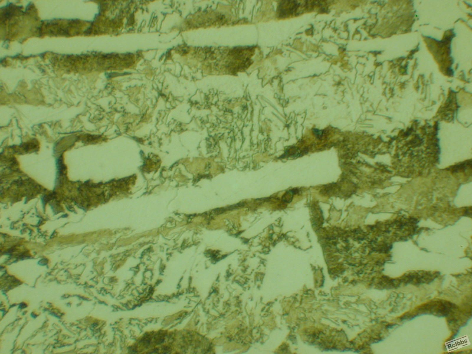 DSCN0153.JPG