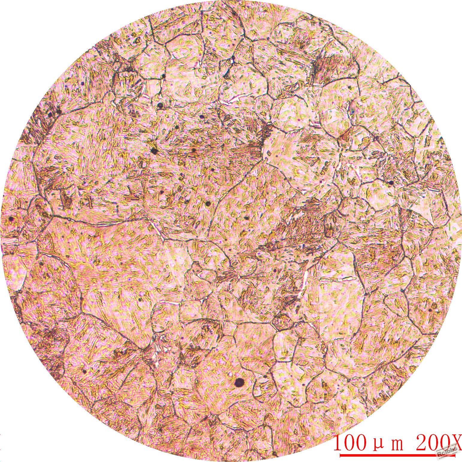 导筒20Cr渗碳淬火+回火心部-6.JPG