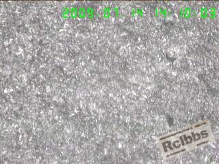 100X  F量.jpg