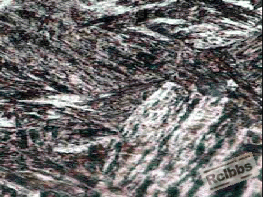 4130钢显微组织2.gif