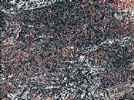 4130钢显微组织.gif
