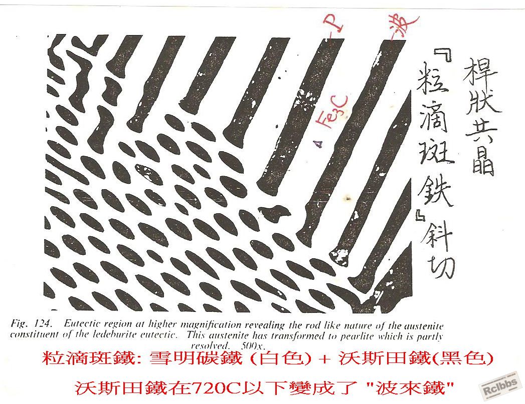 桿狀共晶.jpg