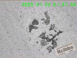 100X非金属夹杂（另一种产品）.jpg