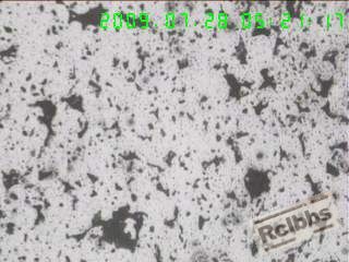 100X横截面心部组织3.jpg